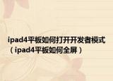 ipad4平板如何打开开发者模式（ipad4平板如何全屏）