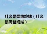 什么是网络终端（什么是网络终端）