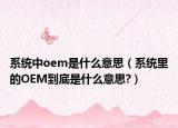 系统中oem是什么意思（系统里的OEM到底是什么意思?）