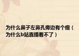 为什么鼻子左鼻孔旁边有个痘（为什么b站直播看不了）