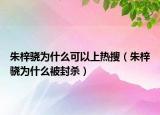 朱梓骁为什么可以上热搜（朱梓骁为什么被封杀）