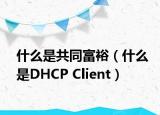 什么是共同富裕（什么是DHCP Client）