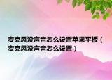 麦克风没声音怎么设置苹果平板（麦克风没声音怎么设置）