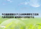 今日最新更新女子上山挖笋遇野生兰花挖几株带回家种 被判刑5个月罚款千元