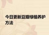今日更新豆瓣绿植养护方法