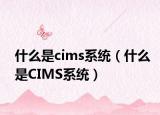 什么是cims系统（什么是CIMS系统）