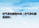 空气净化器有味道（空气净化器有用吗）