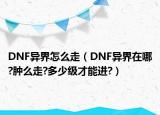DNF异界怎么走（DNF异界在哪?肿么走?多少级才能进?）
