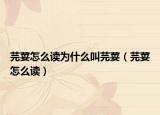 芫荽怎么读为什么叫芫荽（芫荽怎么读）