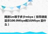 网速1m等于多少mbps（宽带速度显示100.0Mbps和1GMbps 是什么）