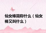 仙女棒简称什么（仙女棒又叫什么）