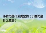 小鲜肉是什么类型的（小鲜肉是什么意思）