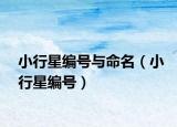小行星编号与命名（小行星编号）