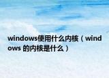 windows使用什么内核（windows 的内核是什么）