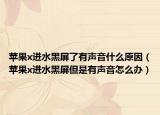 苹果x进水黑屏了有声音什么原因（苹果x进水黑屏但是有声音怎么办）