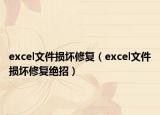 excel文件损坏修复（excel文件损坏修复绝招）