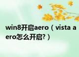 win8开启aero（vista aero怎么开启?）