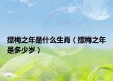 摽梅之年是什么生肖（摽梅之年是多少岁）