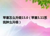 苹果怎么升级15.0（苹果5.11系统肿么升级）