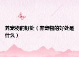 养宠物的好处（养宠物的好处是什么）
