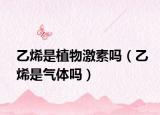 乙烯是植物激素吗（乙烯是气体吗）