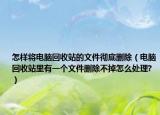 怎样将电脑回收站的文件彻底删除（电脑回收站里有一个文件删除不掉怎么处理?）