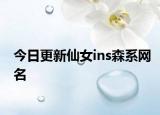 今日更新仙女ins森系网名