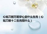 心如刀割万箭穿心是什么生肖（心如刀割十二生肖指什么）