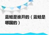 蓝蛙是谁开的（蓝蛙是哪国的）