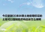 今日更新﻿﻿未办理土地使用权证的土地可以强制拍卖吗应该怎么做呢