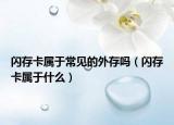 闪存卡属于常见的外存吗（闪存卡属于什么）