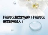 抖音怎么搜索群名称（抖音怎么搜索群号加入）