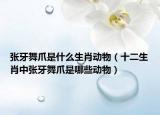 张牙舞爪是什么生肖动物（十二生肖中张牙舞爪是哪些动物）