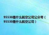 95530是什么航空公司公众号（95530是什么航空公司）