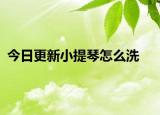今日更新小提琴怎么洗