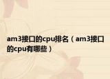 am3接口的cpu排名（am3接口的cpu有哪些）