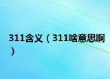 311含义（311啥意思啊）