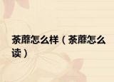 荼蘼怎么样（荼蘼怎么读）