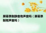 屏幕录制静音有声音吗（屏幕录制有声音吗）