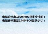 电脑分辨率1600x900是多少寸的（电脑分辨率是1440*900是多少寸）