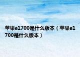 苹果a1700是什么版本（苹果a1700是什么版本）