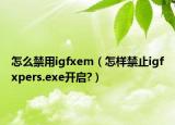 怎么禁用igfxem（怎样禁止igfxpers.exe开启?）