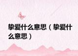 挚爱什么意思（挚爱什么意思）