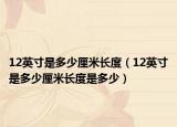 12英寸是多少厘米长度（12英寸是多少厘米长度是多少）