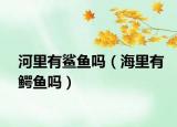 河里有鲨鱼吗（海里有鳄鱼吗）