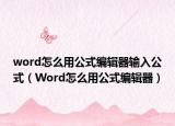 word怎么用公式编辑器输入公式（Word怎么用公式编辑器）