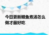 今日更新鲤鱼煮汤怎么做才最好吃