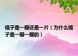 橘子是一瓣还是一片（为什么橘子是一瓣一瓣的）
