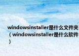 windowsinstaller是什么文件夹（windowsinstaller是什么软件）