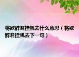 将欲辞君挂帆去什么意思（将欲辞君挂帆去下一句）